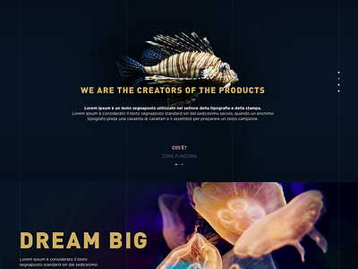 Aquarium project - 1 app aquarium design fish identity landing landingpage shot sketch startup