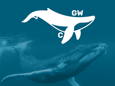 Great Whale C. animal illustration logo whale