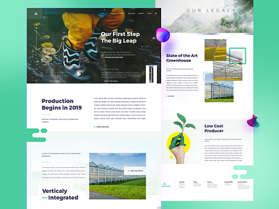 AgraFlora Concept brand and identity branding cannabis front page site
