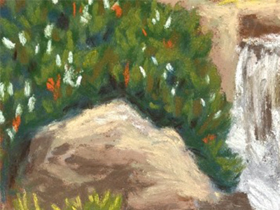 Waterfall Shrub drawing illustration painting pastel plein air practice