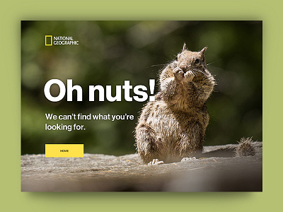 404 Page — UI Weekly Challenges-Season 02 / W [2/10] V2 404 404 page animal error missing missing page natgeo squirrel ui wrong