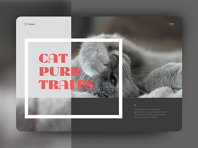Purrtraits art direction cat layout photography portfolio portrait ui