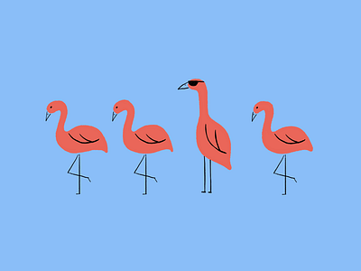 Too cool. design doodle flamingo illustration ipad sketch