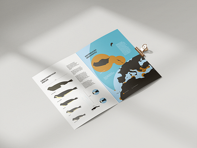 O Lobo-Marinho no Arquipélago da Madeira art book design eco ecology editorial graphic design illustration infografia infographic madeira island portugal wild