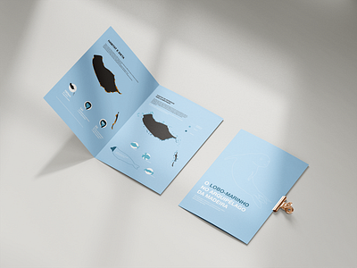O Lobo-Marinho no Arquipélago da Madeira animal book design eco ecology editorial graphic design illustration infografia infographic madeira island portugal wild