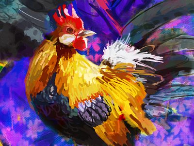 chickens chickens illustration my art