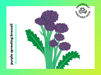 Purple sprouting broccoli farming food gouache icon illustration painting product ui vegetable web web design website