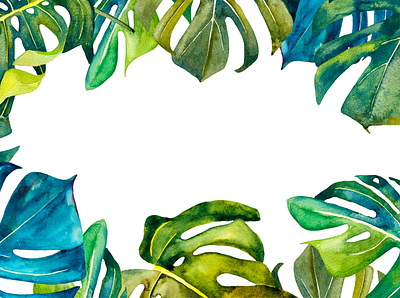 Tropical plants background design illustration leaves monstera tropical leaves tropics