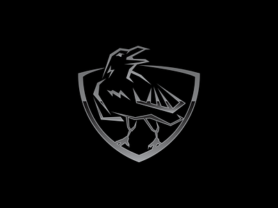 Raven Shield Icon