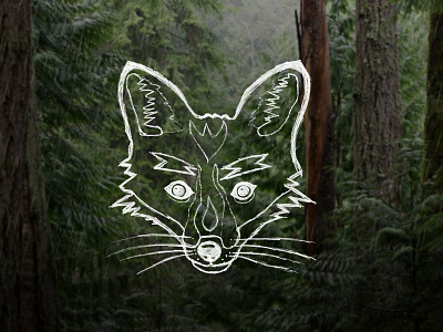 Fox Sketch animal drawing forrest fox graphic illustration rain sketch