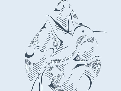 humming-bird epok design humming bird illustration silium