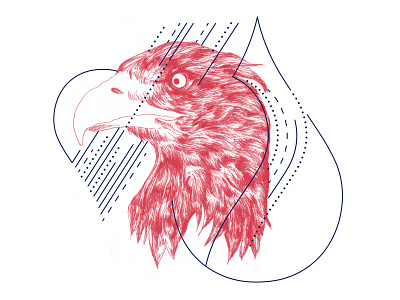 The eagle has landed eagle epok design sketch