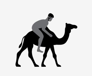 Reading is important animal camel cyclist cylist icon vector