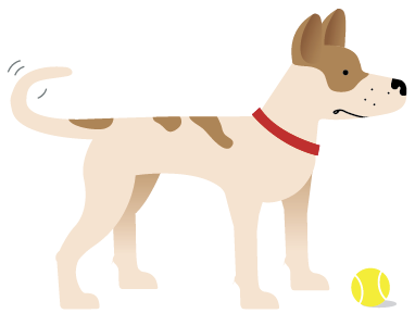 Lady dog vector woof