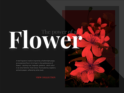 Header visual experiment dark experiment header red typography ui web website