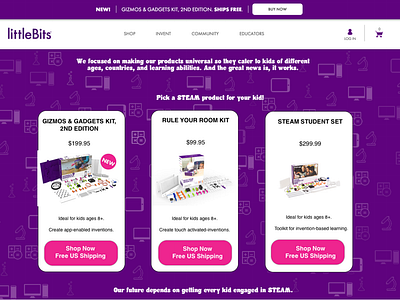 Little bits Prod Details Page branding design eccomerce illustration ui ux design web