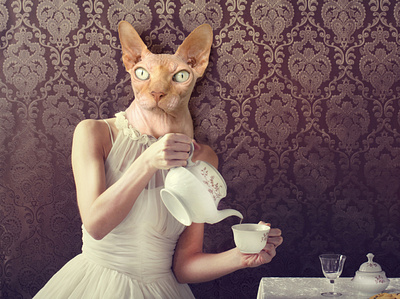 Tea? cat feminine photomanipulation photoshop tea