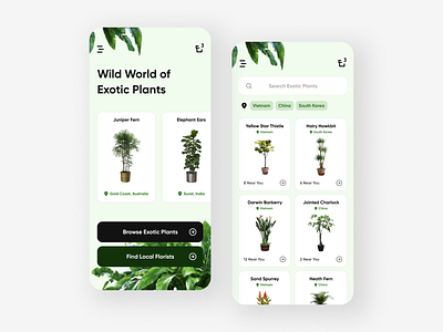 Wild World of Exotic Plants - Mobile UI Concept