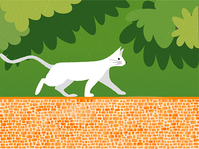 The white cat in the park