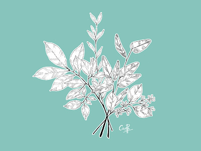 Leaves Bouquet - Lines art clipart hand drawn illustration leaves line art photoshop