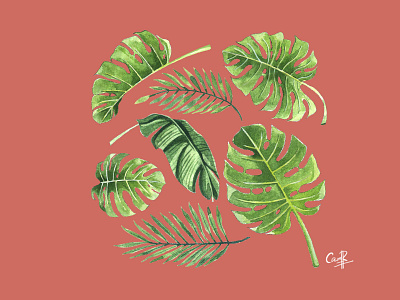 Tropical leaves - Watercolor clipart hand drawn illustration leaves painting photoshop tropical watercolor