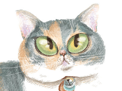 "Professor Samantha Whammy Cat" by: Kassandra Heller cats digital flowers illustration kassandra heller kids kitty