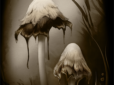 Mushrooms concept art digital graphite illustration mixed media mushrooms nature video games