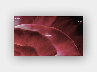First Screen: Le Labo concept firstscreen parfumerie screen ui ux uxui uxui design web webpage website webstore
