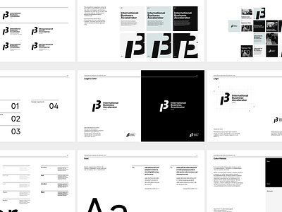 Brand Guide: International Business Accelerator ITIC brand branding design