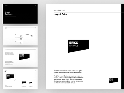 Brand Guidline branding design logo