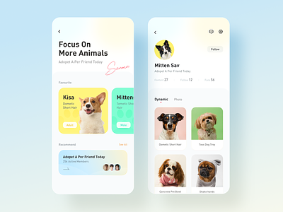 Pet app app design graphic design typography ui