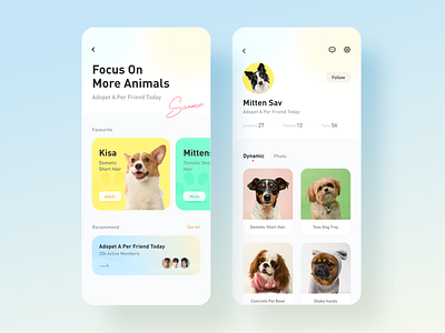 Pet app