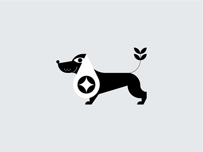 Dachshund animal dachshund dog dog illustration doggy graphic icon design symbol design