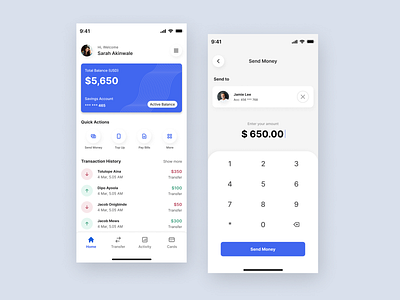 Mobile Banking App Concept