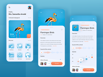 Qeywaned - Animal Conservation App animals app design birds blue charity clean conservation donate donation flamingos forest forest animals illustrations ios mobile design orange sketch ui ux