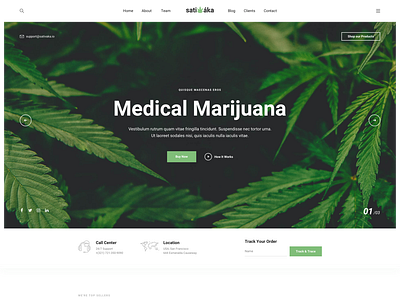 Sativaka - Medical Marijuana Dispensary Theme