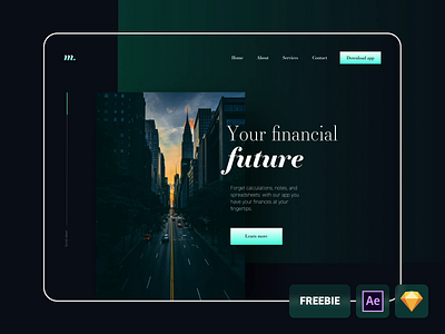 Financial website - freebie ae after effect animation dark design file finacial finance freebie homepage light sketch typography ui ux video webdesign website