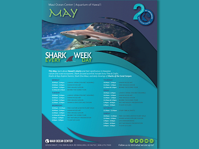 Concept brochure blue brochure concept creative design flyer graphic illustrator maui ocean photoshop sharks