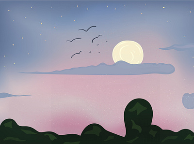 Moon in sunset✨ 2d illustration adobe illustrator birds cloud design graphic design illustration illustrator moon pink purple sky stars sunset vector vector art