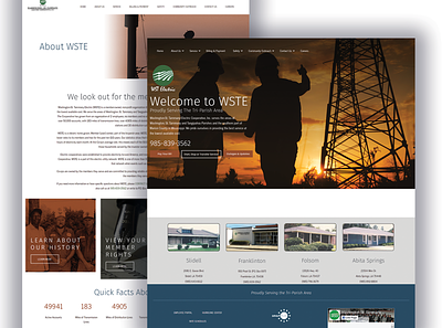 WST Electric Web Design design electric company graphic design illustration modern modern web design ui web design web layout website