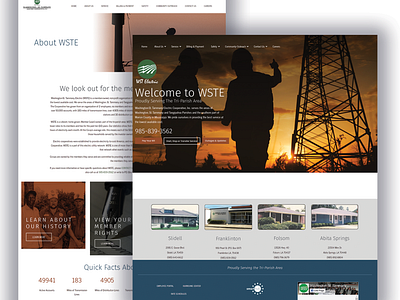 WST Electric Web Design