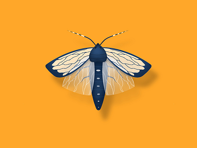 Moth blue illustration insect moth pattern procreate summer white yellow