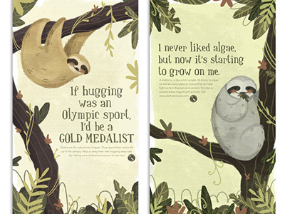 Sloth Sanctuary Ads ads advertising graphic design sloth sanctuary sloths