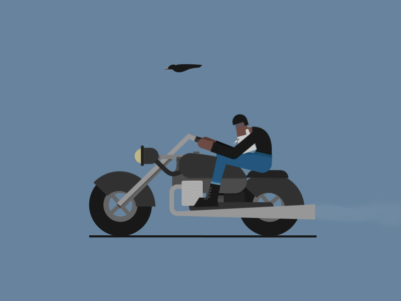 South Gangster 2d 2d animation aftereffects animation animator bird birds character character design cyclist funny funny character gangater gif illustration motorcycle road