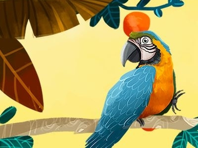 Ara ararauna animals guacamaya nature plants wildlife