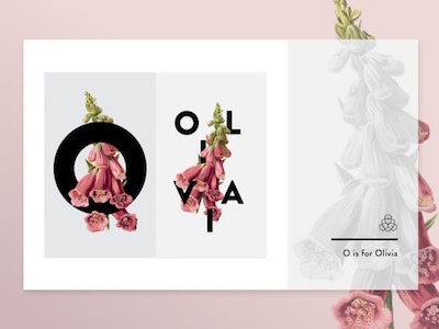 O Is For Olivia botany floral graphicdesign