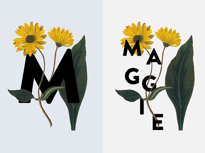 M Is For Maggie botany floral girlsnames
