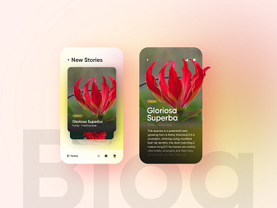 Daily UI#007 Blog Modern Card UI blog color colorful colors creative daily daily ui dailyui flower mobile deign ui colourful uidesign