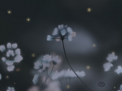 fireflies art babies breath blue dark design digital art fireflies flowers illustration simple