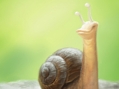Snail animal character character design concept creature digital painting drawing illustration photoshop